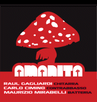 Amanita - Che facciamo stasera